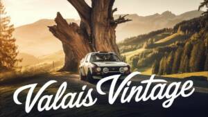 Classic Rally Icons Porsche 911 Ferrari Dino and More